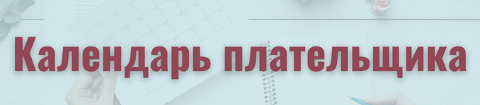 Календарь плательщика