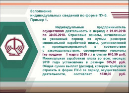 Персонифицированный учет: примеры заполнения индивидуальных сведений по форме ПУ-3. Пример 1