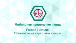 Услуга "Обязательные страховые взносы" 
