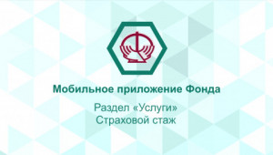 Услуга "Страховой стаж" 